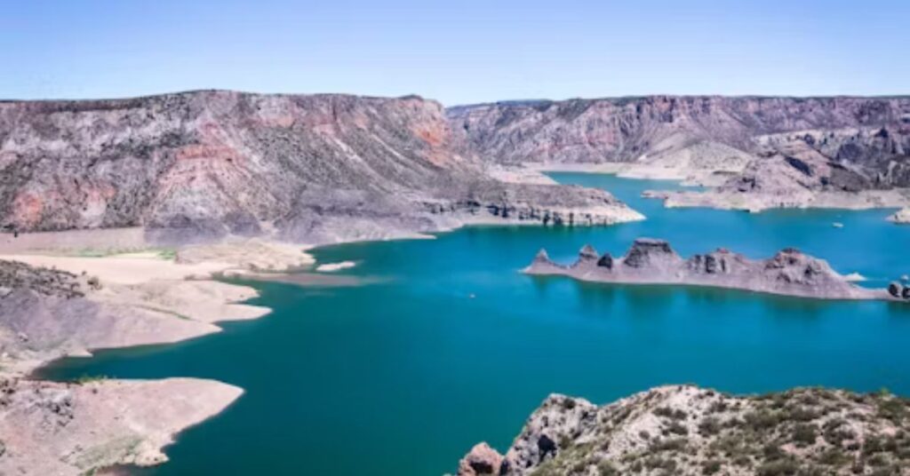 🧲 What I Found in the Lake